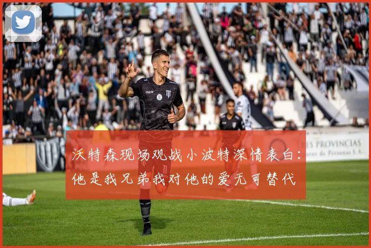 沃特森现场观战小波特深情表白：他是我兄弟我对他的爱无可替代