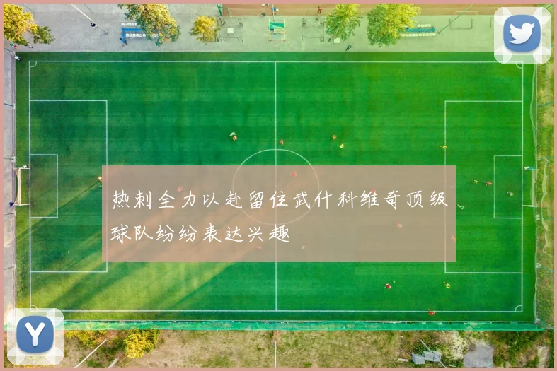 热刺全力以赴留住武什科维奇顶级球队纷纷表达兴趣