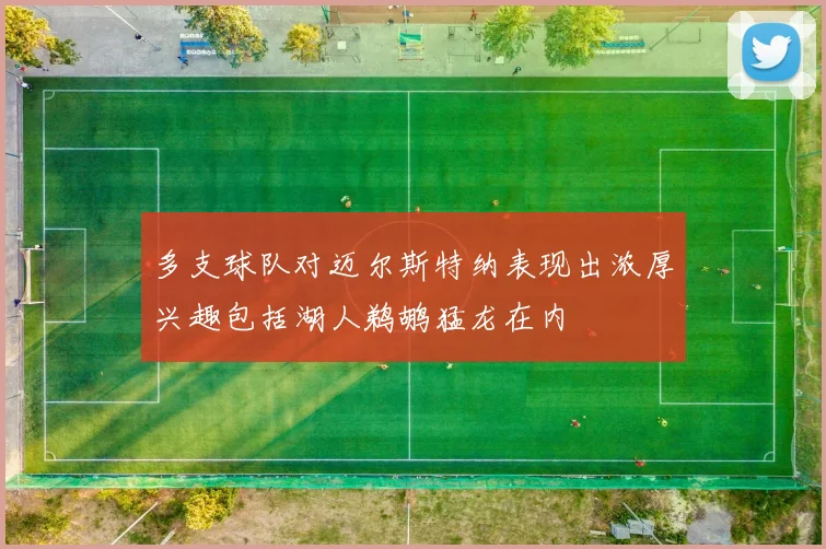 多支球队对迈尔斯特纳表现出浓厚兴趣包括湖人鹈鹕猛龙在内