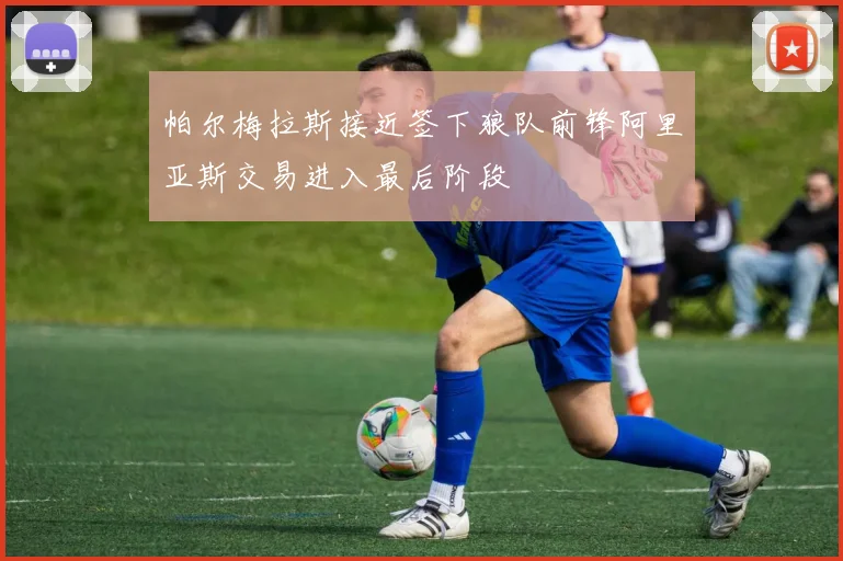 帕尔梅拉斯接近签下狼队前锋阿里亚斯交易进入最后阶段